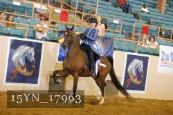 15YN_17963 thumbnail