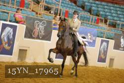 15YN_17965 thumbnail