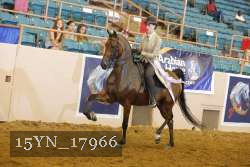 15YN_17966 thumbnail
