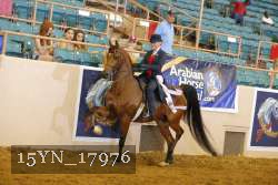 15YN_17976 thumbnail