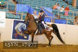 15YN_17977 thumbnail