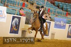 15YN_17978 thumbnail