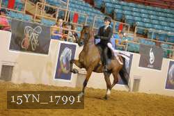 15YN_17991 thumbnail