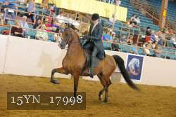 15YN_17998 thumbnail