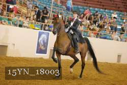 15YN_18003 thumbnail