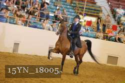 15YN_18005 thumbnail