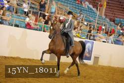 15YN_18011 thumbnail