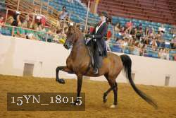 15YN_18015 thumbnail