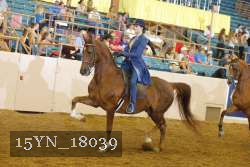 15YN_18039 thumbnail