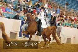 15YN_18042 thumbnail