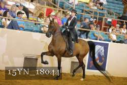 15YN_18044 thumbnail
