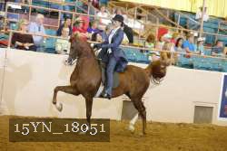 15YN_18051 thumbnail