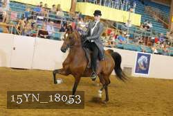 15YN_18053 thumbnail