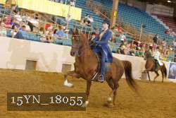 15YN_18055 thumbnail