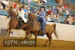 15YN_18056 thumbnail
