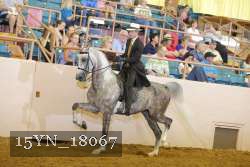 15YN_18067 thumbnail