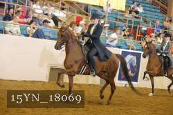 15YN_18069 thumbnail