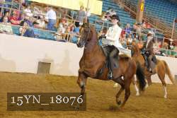 15YN_18076 thumbnail