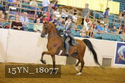 15YN_18077 thumbnail