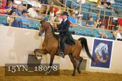 15YN_18078 thumbnail