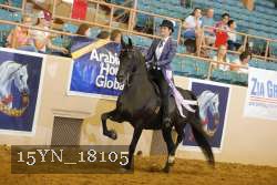 15YN_18105 thumbnail