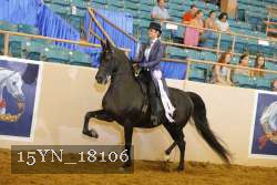 15YN_18106 thumbnail