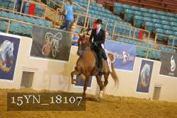15YN_18107 thumbnail