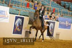 15YN_18111 thumbnail