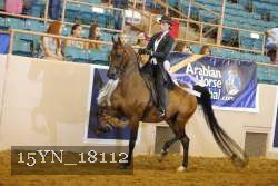 15YN_18112 thumbnail