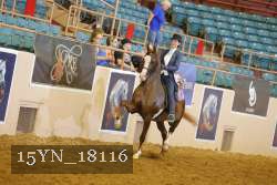 15YN_18116 thumbnail