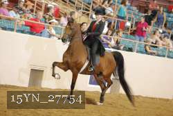 15YN_27754 thumbnail