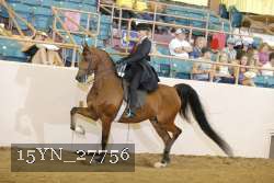 15YN_27756 thumbnail
