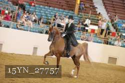 15YN_27757 thumbnail
