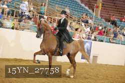15YN_27758 thumbnail