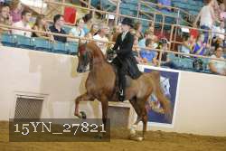 15YN_27821 thumbnail