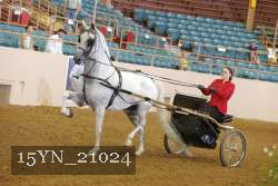 15YN_21024 thumbnail
