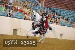 15YN_23225 thumbnail