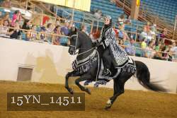 15YN_14511 thumbnail