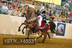 15YN_14553 thumbnail