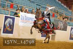 15YN_14798 thumbnail