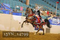 15YN_14799 thumbnail
