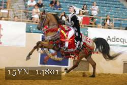 15YN_14801 thumbnail