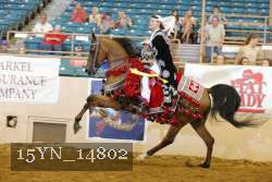 15YN_14802 thumbnail