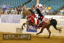 15YN_14803 thumbnail