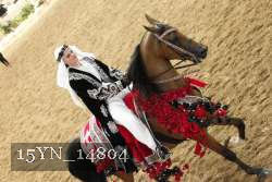 15YN_14804 thumbnail