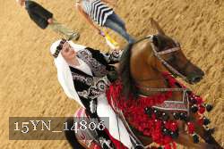 15YN_14806 thumbnail