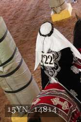 15YN_14814 thumbnail