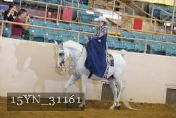 15YN_31161 thumbnail