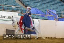 15YN_31335 thumbnail