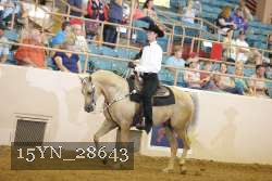 15YN_28643 thumbnail